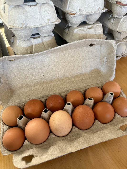 Local Farm Fresh Eggs